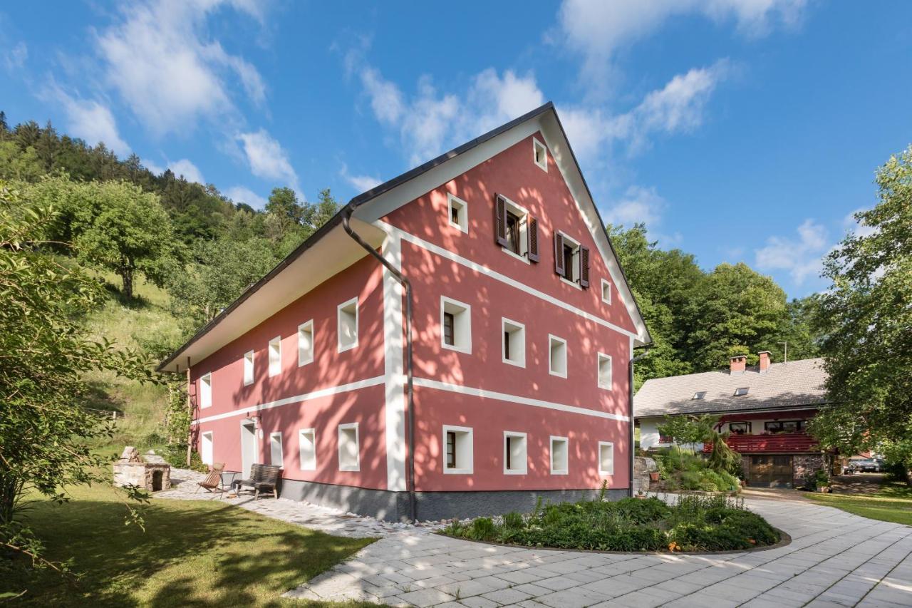 Homestead Farm Tesnak Gorenja Vas  Exterior photo